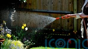 How to keep your garden flourishing during a hosepipe ban