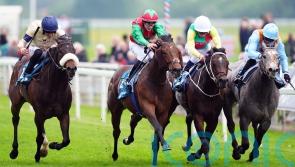 Weather might prove key to Diligent Harry’s bid for third time lucky
