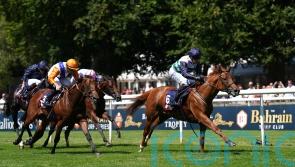 Johnson Houghton retaining plenty of options for Zavateri