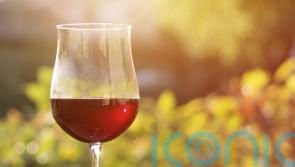 6 summer reds to sip in the sunshine