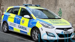 Gardai probing death of man found on road in Cork