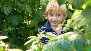 How to turn your kids into garden explorers this summer