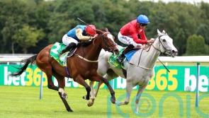 Setback signals the end of Scenic’s racing career