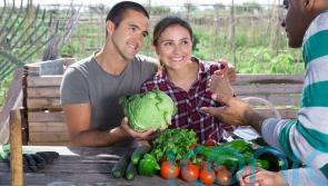 How to get the feel-good factor from an allotment
