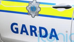Disinformation about knife attack on garda spread very quickly &ndash; senior officer