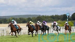 Gosdens lament Field Of Gold’s lacklustre Sussex run