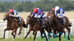 Goodwood Eyecatcher Shaman one to remember