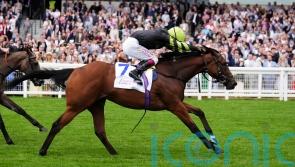 Palmer considering Deauville or Newmarket for Fitzella