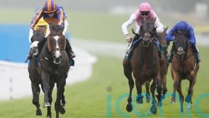 Scandinavia and Lambourn lead 26 St Leger hopefuls