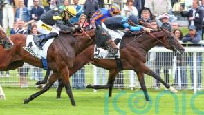 Maranoa Charlie captains strong Bond squad at York