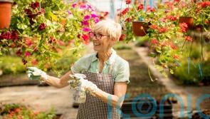 10 ways gardening can enhance your wellbeing
