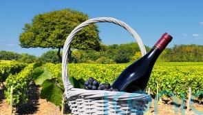 7 French wines from its best-loved regions
