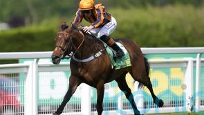 Dancing Gemini all set to bounce back in Prix Jacques le Marois