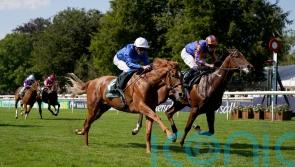 ‘A big player’ – Distant Storm brewing in Acomb Stakes