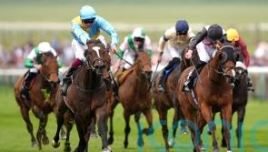 Jack Davison hoping for Group One breakthrough with She’s Quality