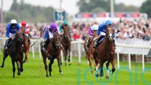 Leopardstown option for Delacroix following York eclipse