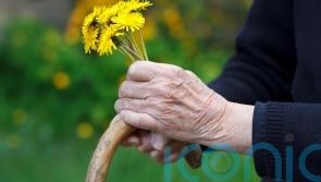 Gardening with arthritis: Tips to ease the pain