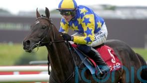 Hipop De Loire one of three Ebor chances for Willie Mullins