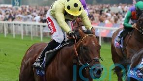 Richard Hannon ‘disappointed’ by Rosallion defeat