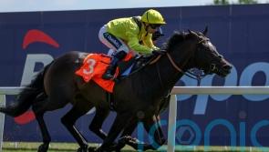 Saddadd returning to the fray at Sandown on Saturday