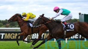 Lady Of Spain victory &lsquo;means the world&rsquo; to Ray Dawson