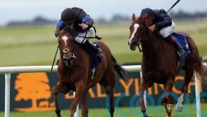 Queen Of Hawaii gets Classic quotes after Curragh performance