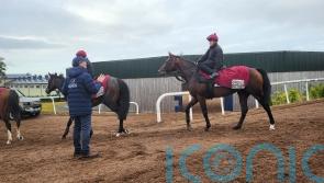 Aidan O’Brien eager for Ombudsman rematch with Delacroix