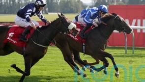 Sky Majesty the Haydock hope for William Haggas in Saturday’s Sprint Cup