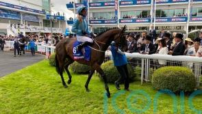 Lazy Griff team waiting on St Leger jockey plans