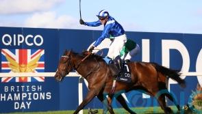 Anmaat team eager to take Irish Champion Stakes chance