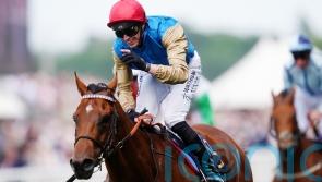 Haydock not the track for Lazzat after beaten Sprint Cup effort