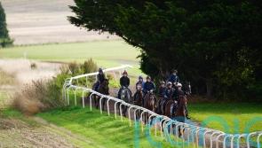 No racing, but business as usual for yards up and down the country