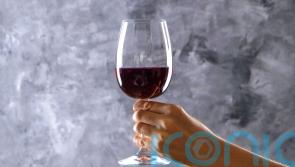 5 pleasing pinot noirs to pique your interest