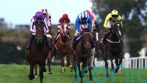 ‘Big tiger’ Delacroix delivers another Irish Champion for Aidan O’Brien