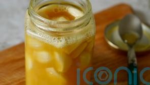 Tim Spector’s honey fermented garlic