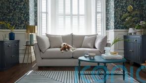 Pet-friendly design choices for stylish interiors