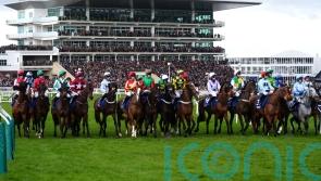 Rule change means horses disadvantaged at starts can be declared non-runners