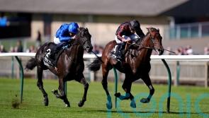 Maltese Cross makes an impression in shedding maiden tag