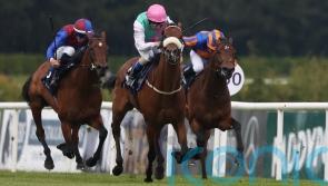 Purview makes his class count in Cork feature