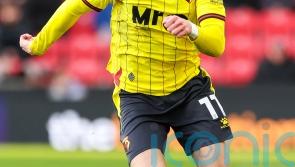 Adrian Segecic earns Portsmouth a late point against Watford