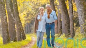 How to conduct an autumn health MOT
