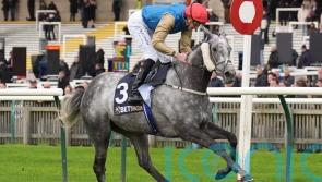 Burke: Fallen Angel ready to take on the boys in QEII