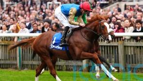 Damysus pencilled in for Sandown return in the spring