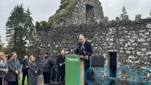 Some flying Irish tricolour dishonour our national flag, Taoiseach says