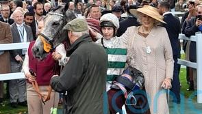 ‘Long-term project’ Alpinara set for eagerly-awaited start at Newbury