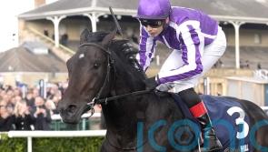 Hawk Mountain leads home Futurity one-two-three for O’Brien