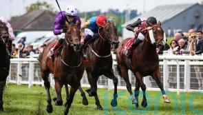 Colin Keane booked for She&rsquo;s Quality&rsquo;s Breeders&rsquo; Cup challenge