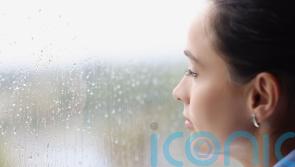 How gardening can help banish the winter blues