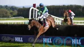 Champ Kiely and Ile Atlantique part of smart Naas line-up