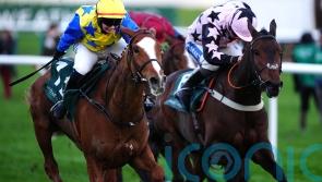 Heads Up set for Cheltenham on Friday